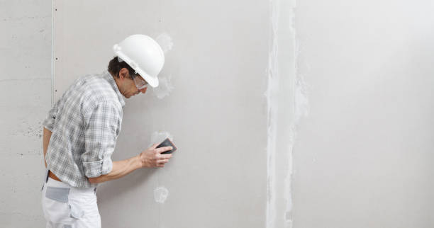 Forensic Mold Investigation in La Villa, TX